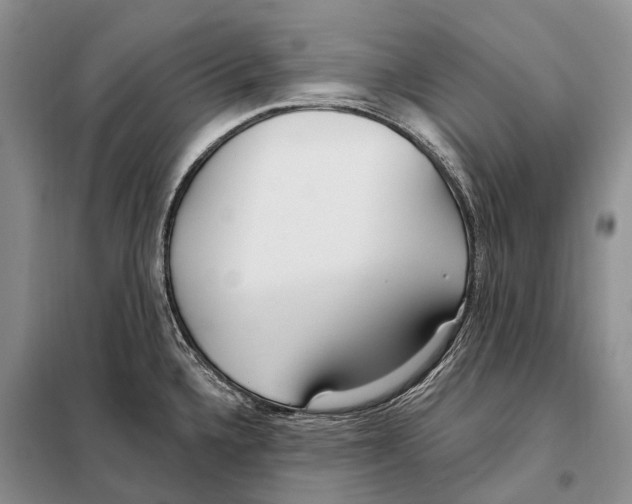 X0000098091336200805021037