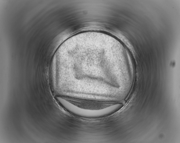 X0000098091337200805021037