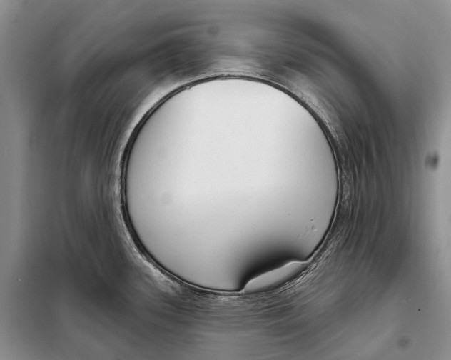 X0000098091339200805021037