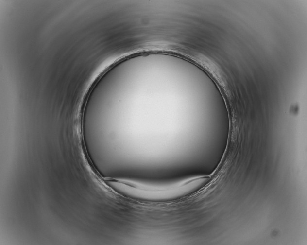 X0000098091342200805021037