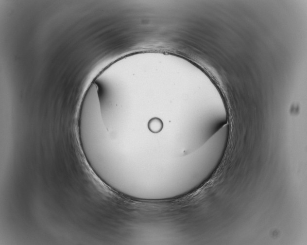 X0000098091344200805021037