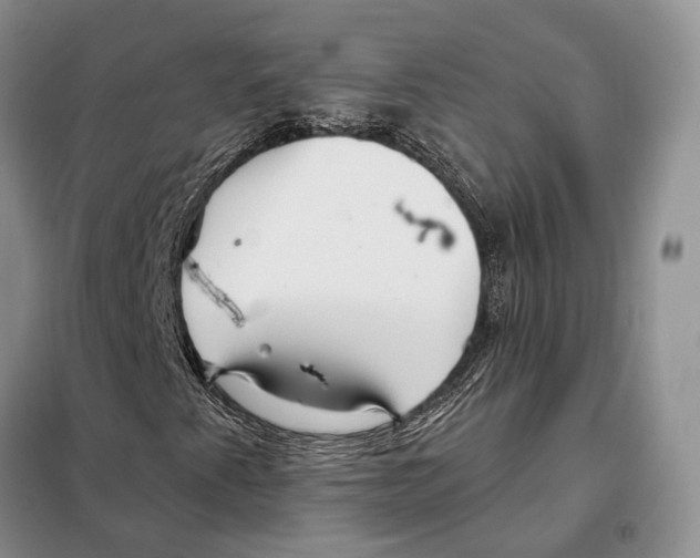 X0000098091345200805021036