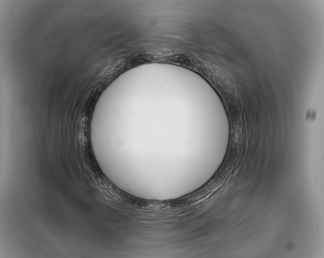 X0000098091346200805021036