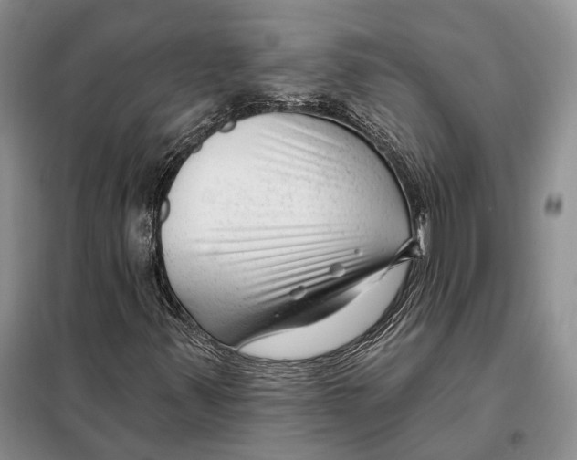 X0000098091347200805021036