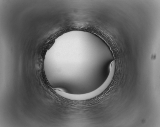 X0000098091349200805021036