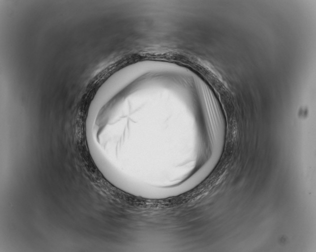 X0000098091350200805021036