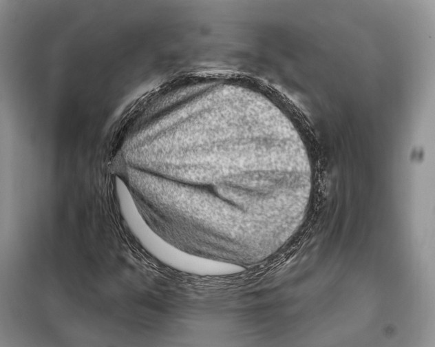 X0000098091351200805021036