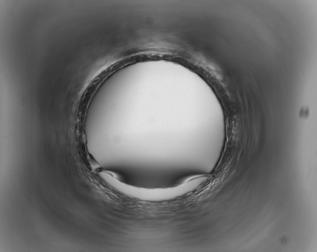 X0000098091352200805021036