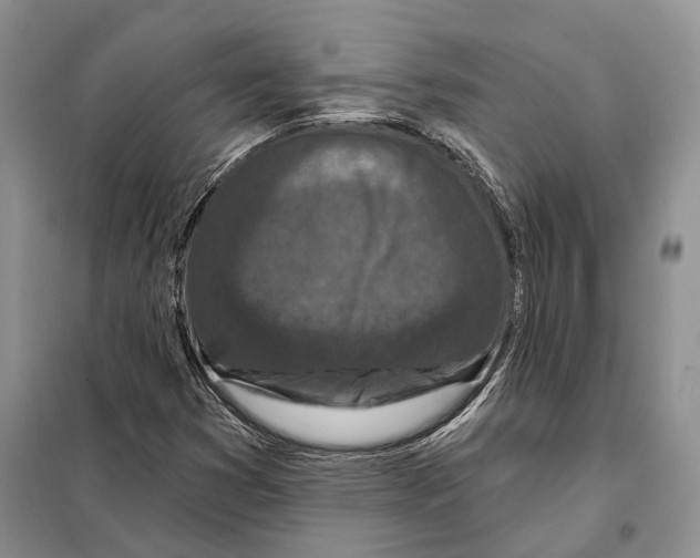 X0000098091353200805021036