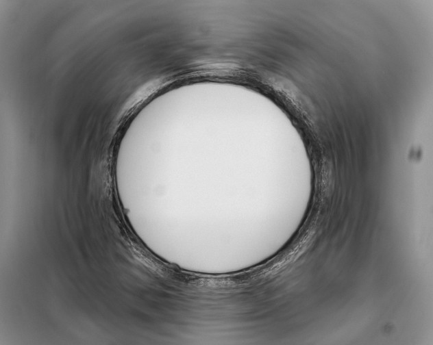 X0000098091354200805021036