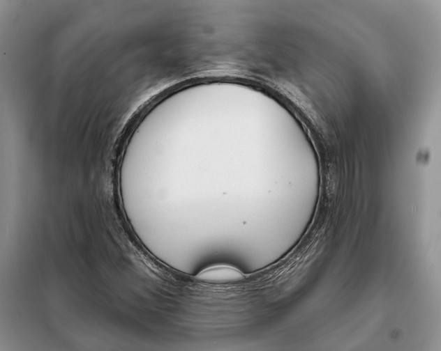 X0000098091356200805021036