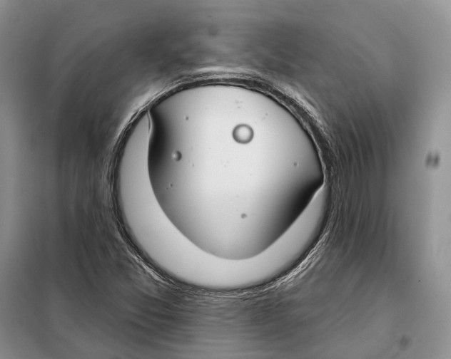 X0000098091357200805021036