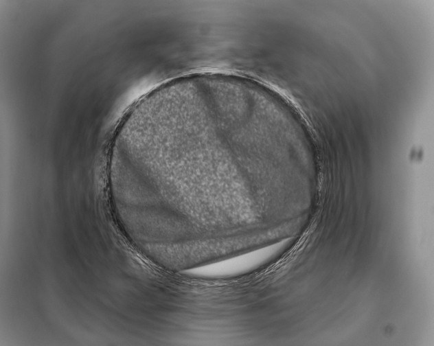 X0000098091359200805021036