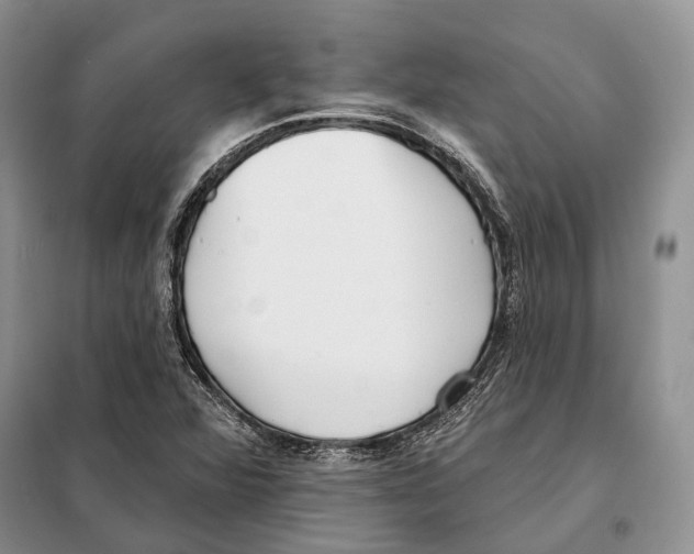 X0000098091360200805021036