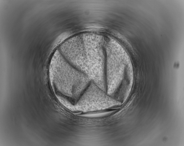 X0000098091362200805021036