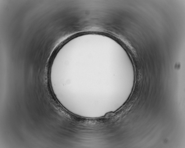 X0000098091364200805021036