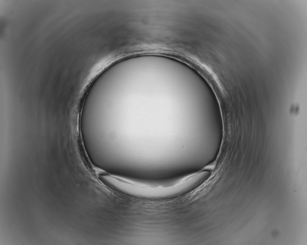 X0000098091365200805021036