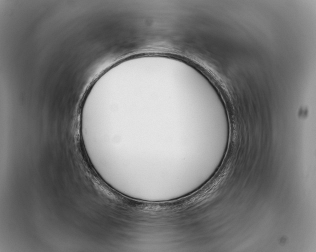 X0000098091366200805021036