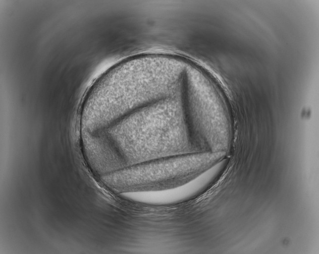 X0000098091367200805021036