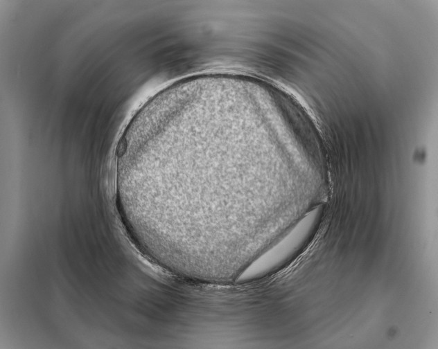 X0000098091371200805021036