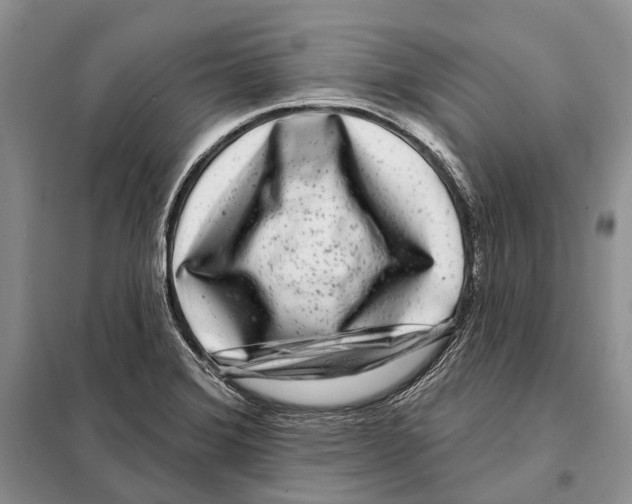 X0000098091372200805021036