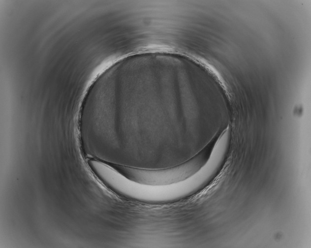 X0000098091373200805021036