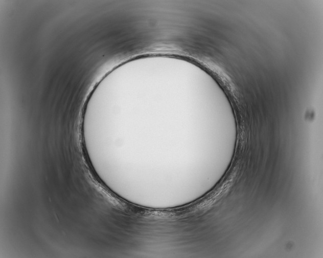 X0000098091374200805021036