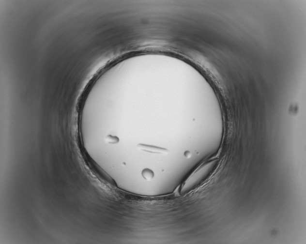 X0000098091376200805021036