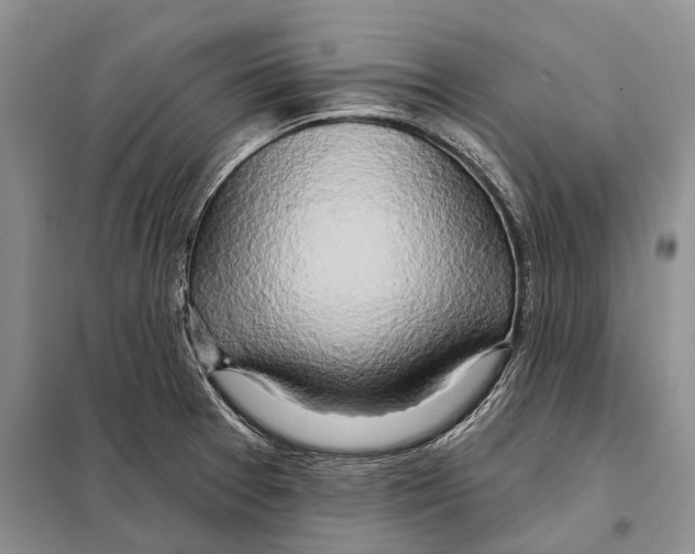 X0000098091377200805021036