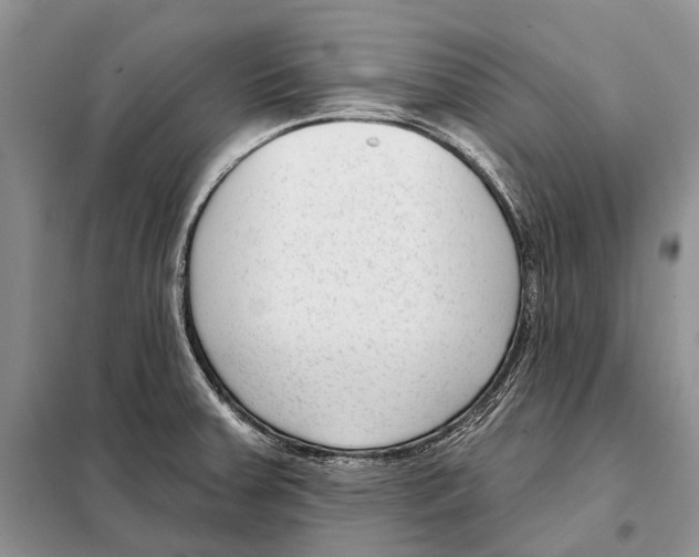 X0000098091379200805021036