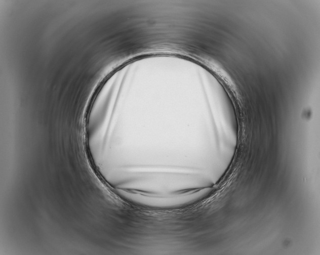 X0000098091380200805021036