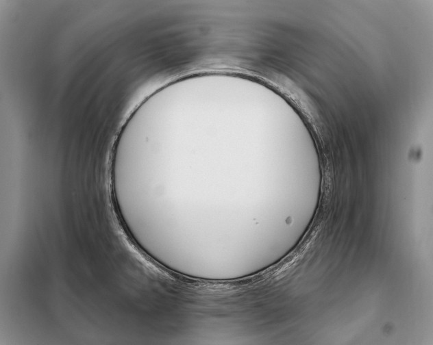 X0000098091382200805021036