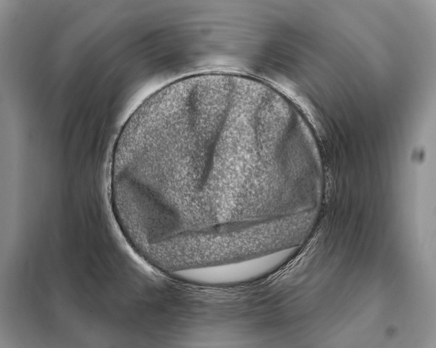 X0000098091383200805021036