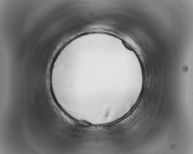 X0000098091384200805021036