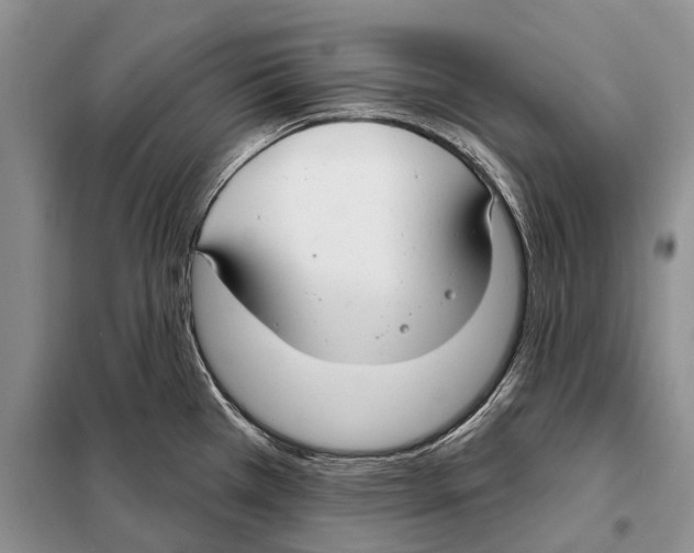 X0000098091385200805021036