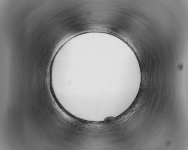 X0000098091387200805021035