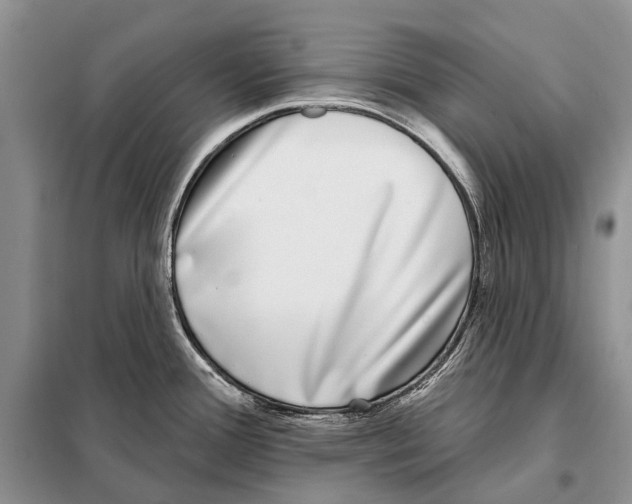 X0000098091388200805021035