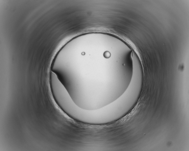 X0000098091389200805021035