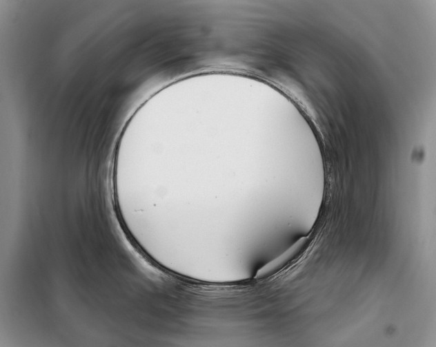 X0000098091391200805021035