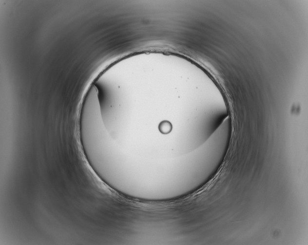 X0000098091392200805021035