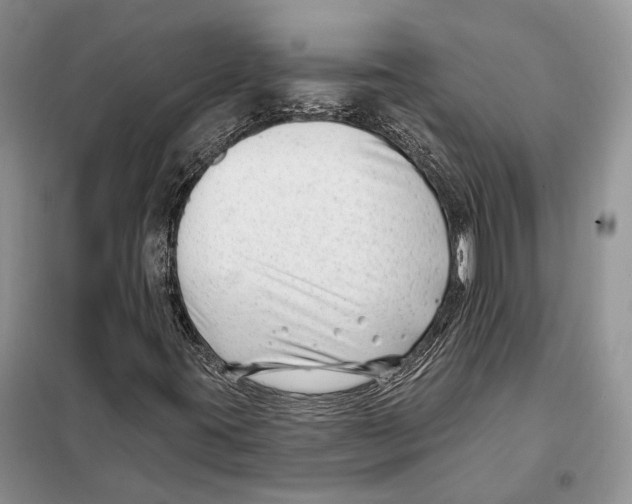 X0000098091395200805021035