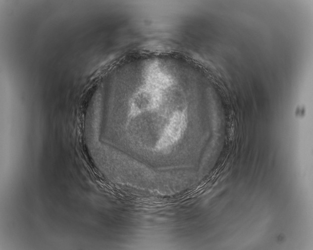 X0000098091397200805021035