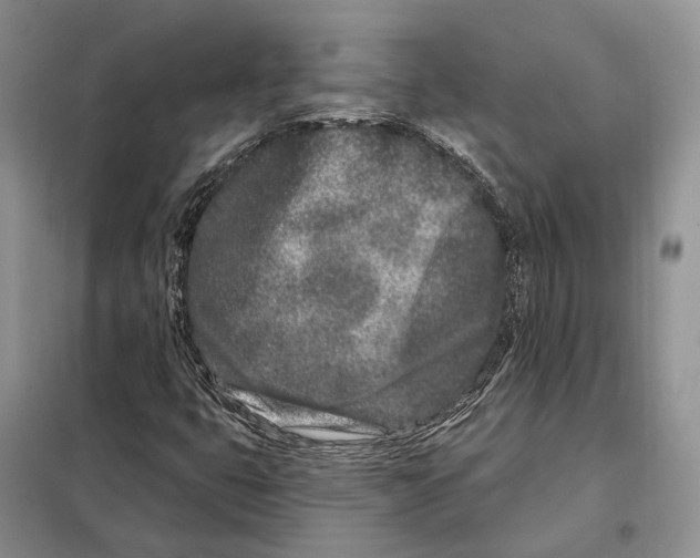 X0000098091399200805021035