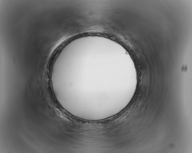 X0000098091400200805021035