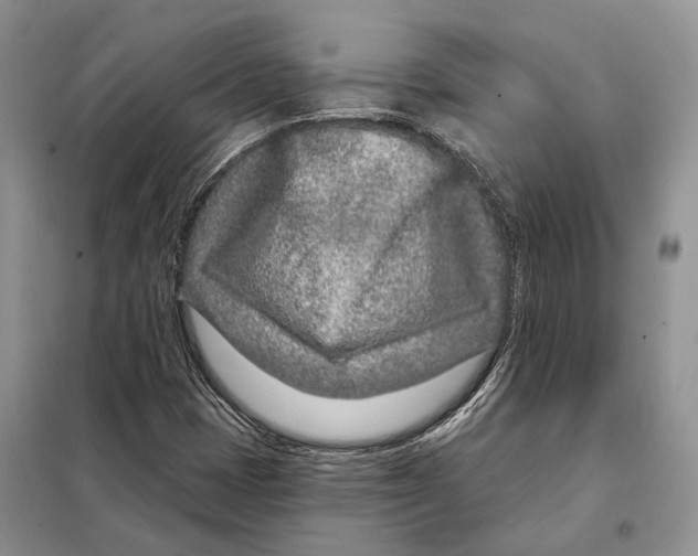 X0000098091401200805021035