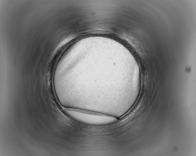 X0000098091402200805021035