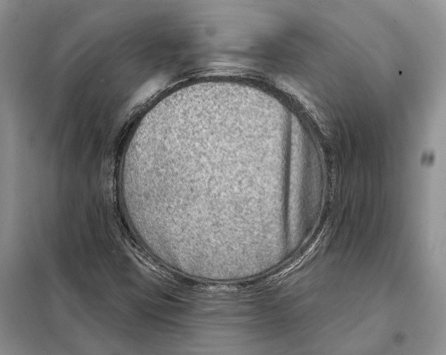 X0000098091403200805021035