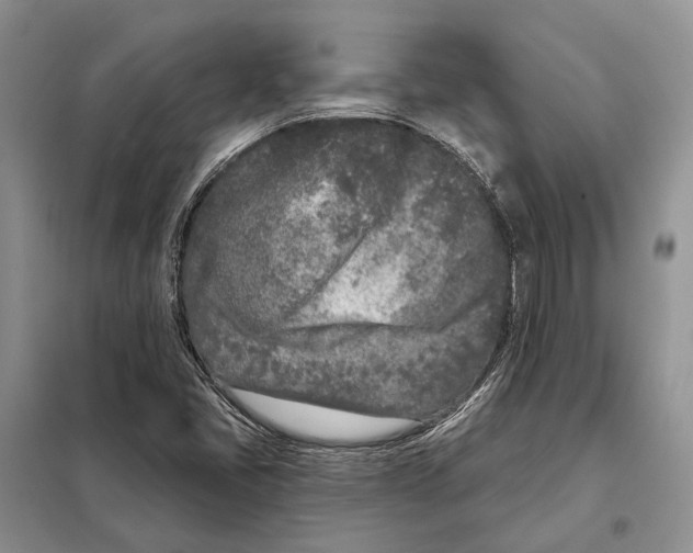 X0000098091405200805021035