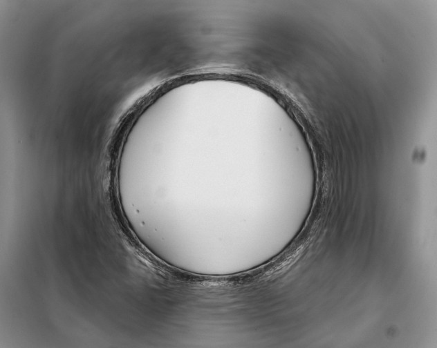 X0000098091406200805021035