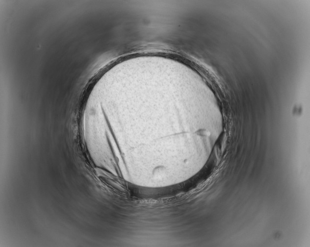 X0000098091407200805021035